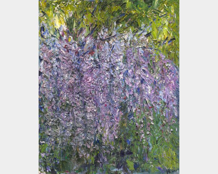 風中的紫藤 Wisteria in the wind