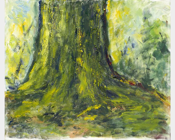 好的開始 Good beginning