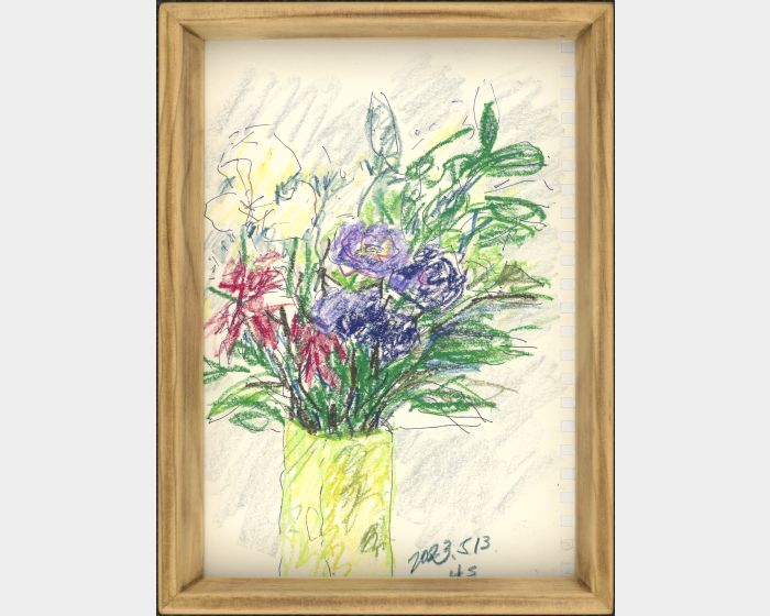 春天的花 Spring time