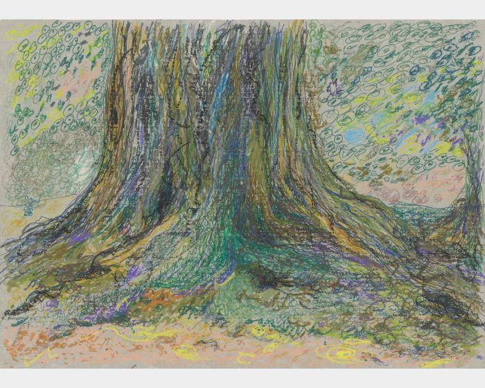 還是京都的樹 Base