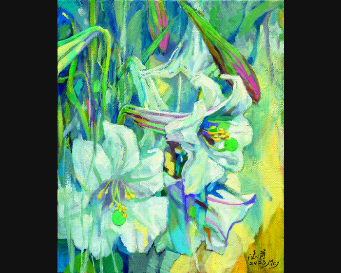 台灣百合 Formosa Lily  