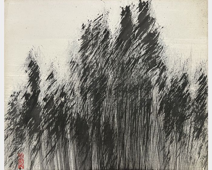 樹影成山