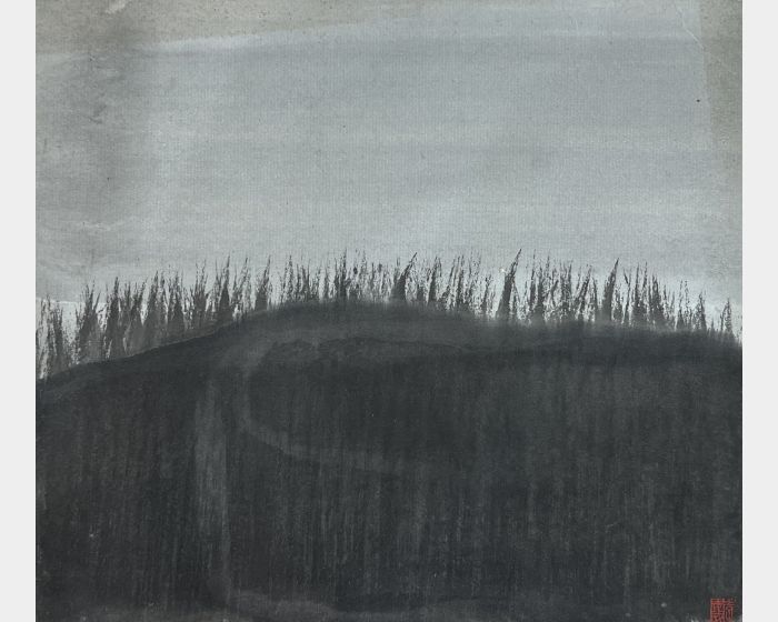 黑山生草