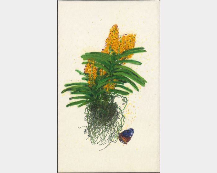 風吹橙花萬代香