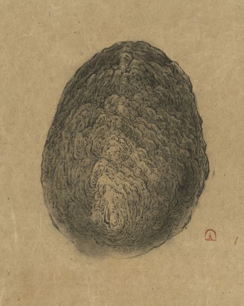 白雨-黑隕石 Black Meteorite