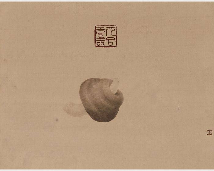 兀合壽之菇  No Good for Health-Mushrooms