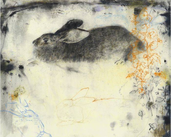 兔Rabbits 