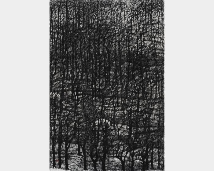 觸2024001001(密林)232.5×52.5 cm ×3 pcs