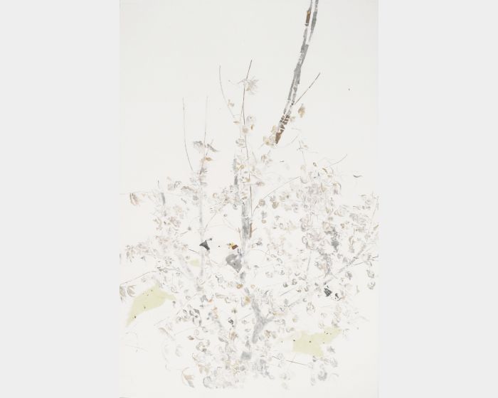 盛開的剩餘 After Bloom 
