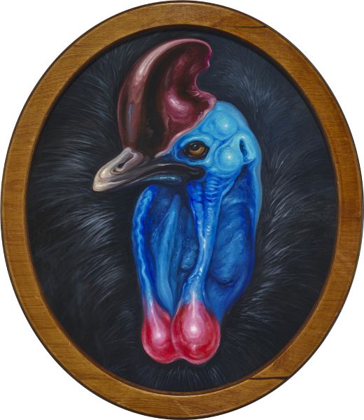 呂浩元-食火雞 Cassowary