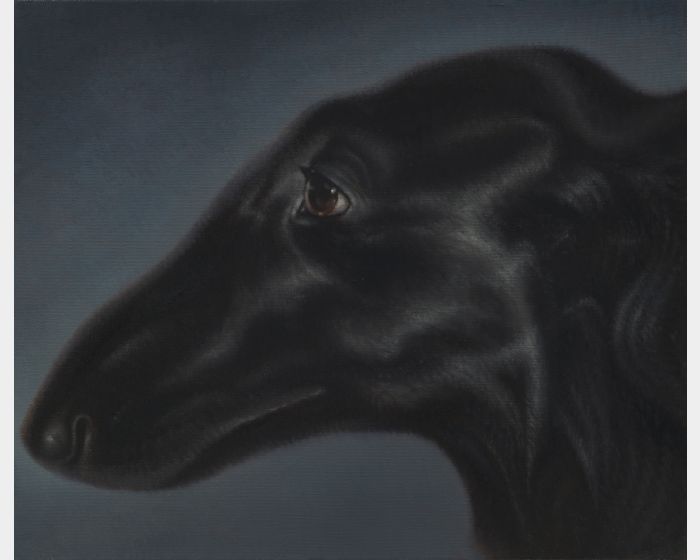 黑柏瑞 Black Borzoi