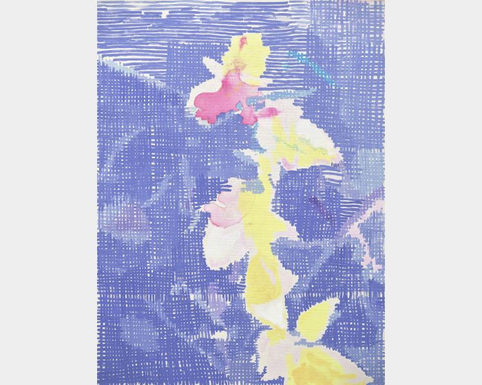 花 260423 Flower 260423
