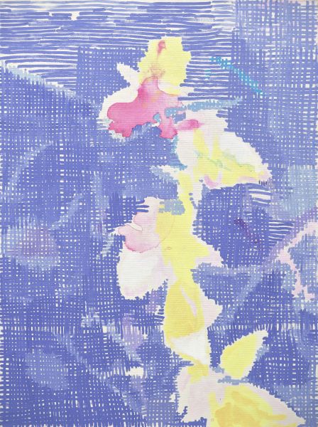 鄭君殿-花 260423 Flower 260423