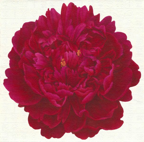 李君毅-心花：紅牡丹