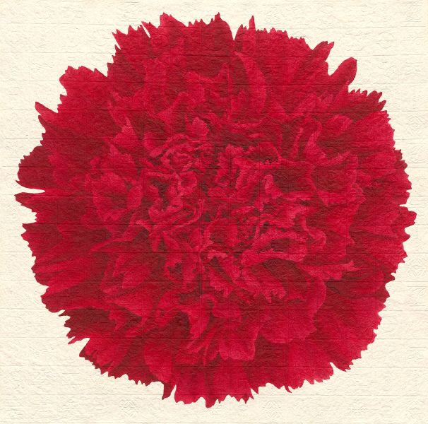 李君毅-心花：康乃馨