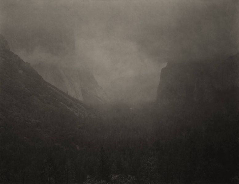 志鎌猛-《森之襞 - 優勝美地: 優勝美地 #1》 Silent Respiration of Forests-Yosemite: Yosemite #1