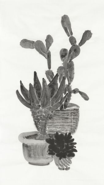 楊寓寧-室外植物