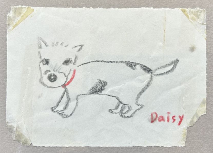 鄭爾祺-Daisy