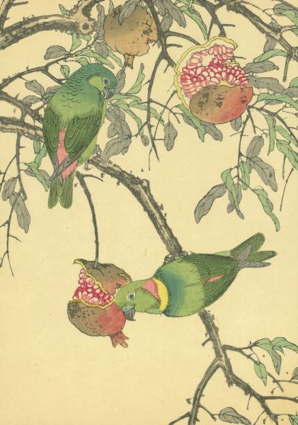 佐垣慶多-石榴和藍冠懸鸚鵡 Pomegranate and Blue-crowned Hanging Parrot