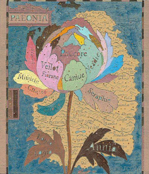 王挺宇-牡丹大陸 Peonia