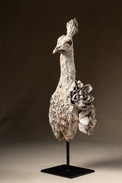 林瑩真- 白花雀 White Flower Peacock
