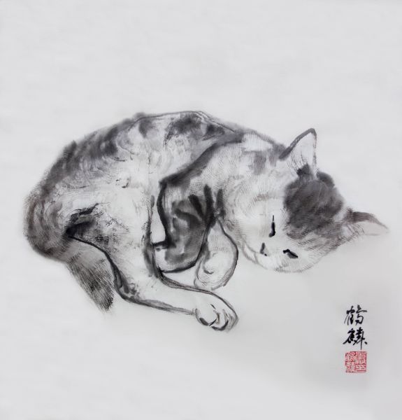 嚴鶴麟-睡貓