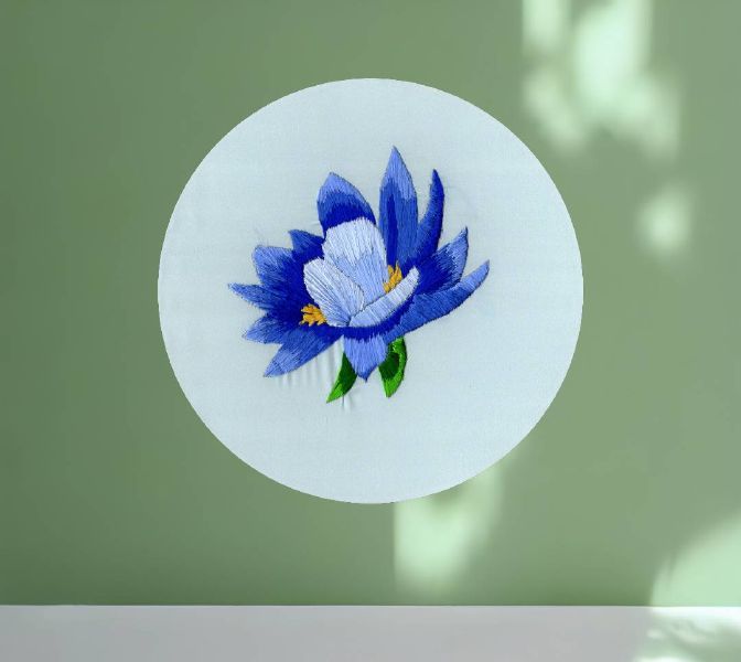 陳宣丞-藍睡蓮 Nymphaea tetragona