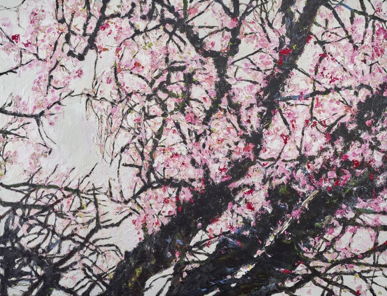 陳麗絹-三月春櫻狂花 Cherry Blossom in March