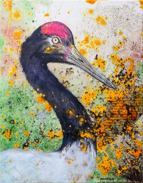 羌 ‧ 巴特萊-幸福黑頸鶴 Happy Black-necked Crane