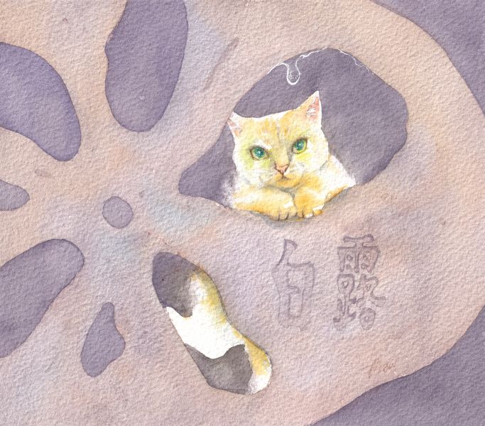 梁濯紳-貓品節氣-白露