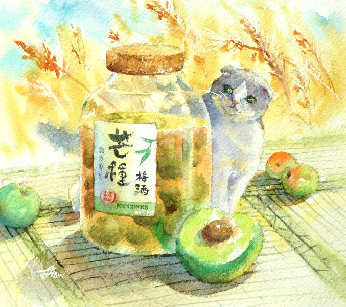 梁濯紳-貓品節氣-芒種