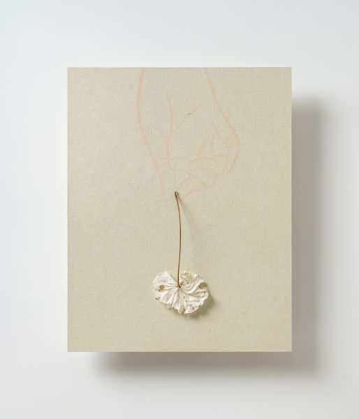 彭思錡-垂露  Hanging Dew