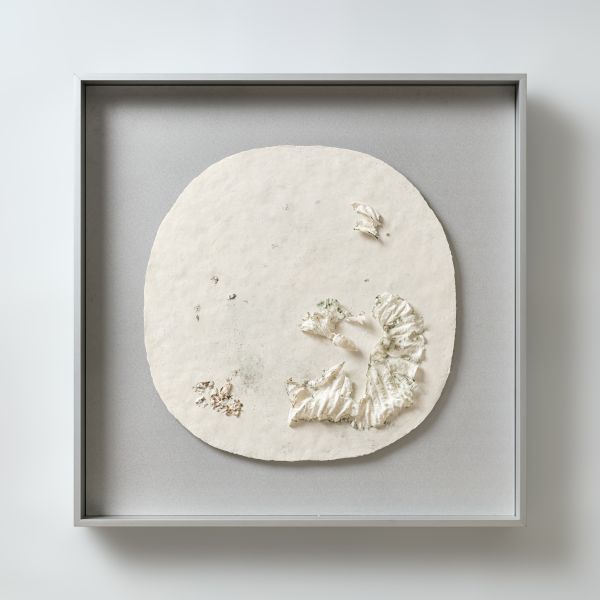 彭思錡-二十一世紀  思錡做荷景與蟬鳴 鏡片 21th century, Si-Qi, Creating of  Lotus and the Cry of Cicadas