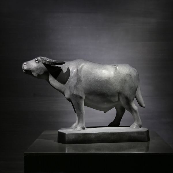 莊丁坤-種牛