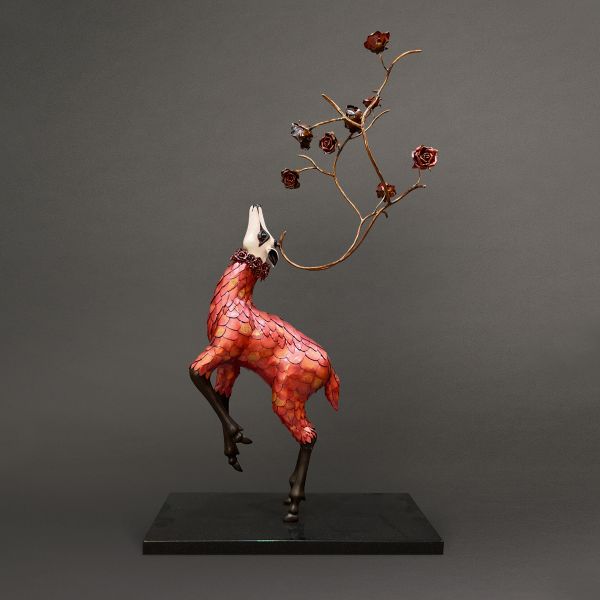 林聖啟-向光而生