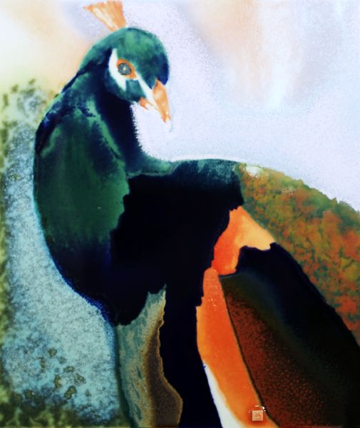 范振金 -孔雀 Peacock 