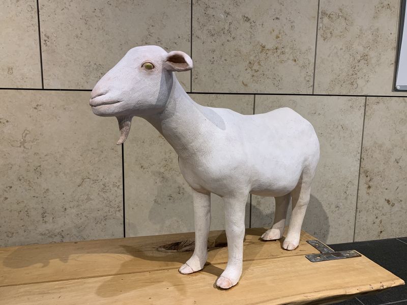 渡邉珠江-White goat