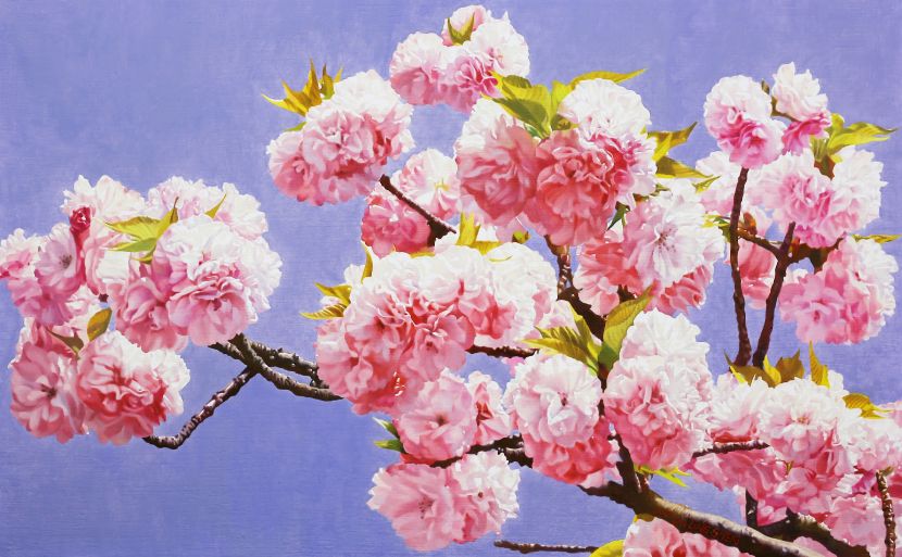 林嶺森 -幸福櫻 Cherry blossom 
