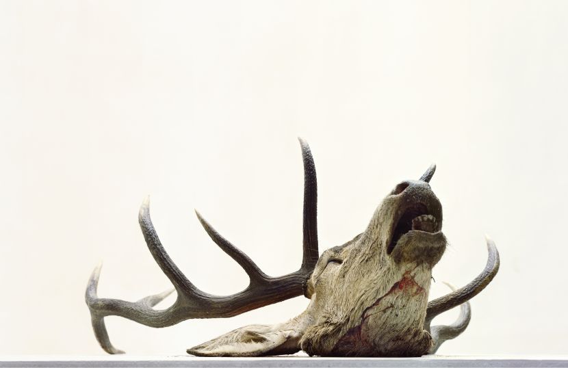 埃里克．普瓦特凡 -無題 Untitled