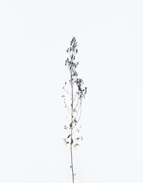 埃里克．普瓦特凡 -無題 Untitled