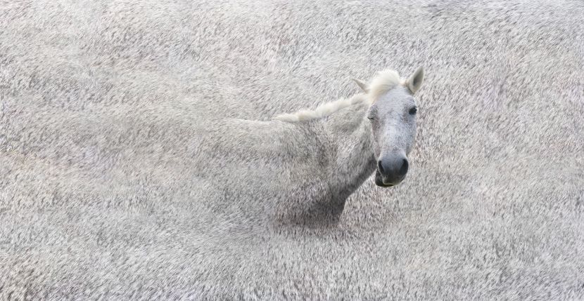 黃建樺-編碼者－隱身術的內心戲｜Transcoder-The Inner Monologue of Invisibility