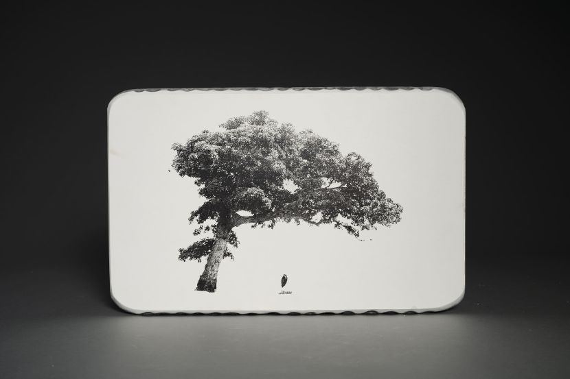 陳奕伶 -樹下的鳥 Bird Under the Tree