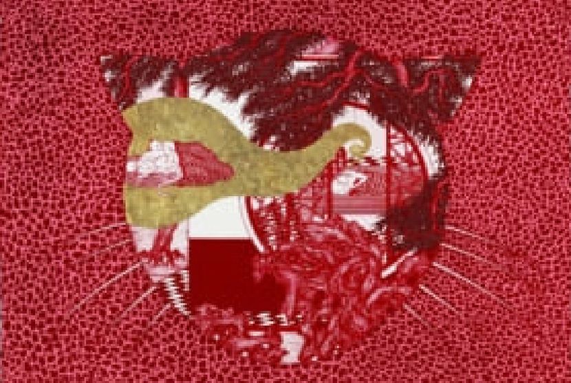 姚瑞中-乖乖：摩卡 Pet: Moca