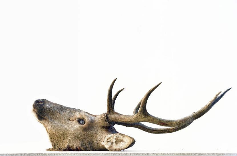 埃里克．普瓦特凡 -無題 Untitled