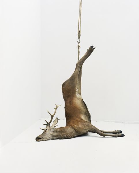 埃里克．普瓦特凡 -無題 Untitled