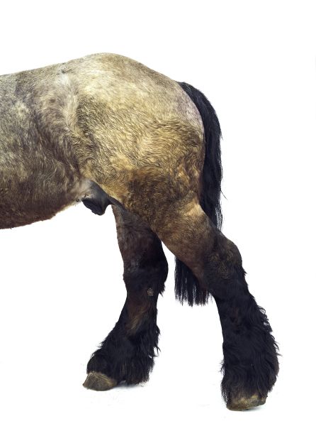 埃里克．普瓦特凡 -無題 Untitled