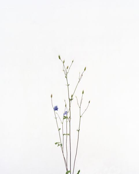 埃里克．普瓦特凡 -無題 Untitled