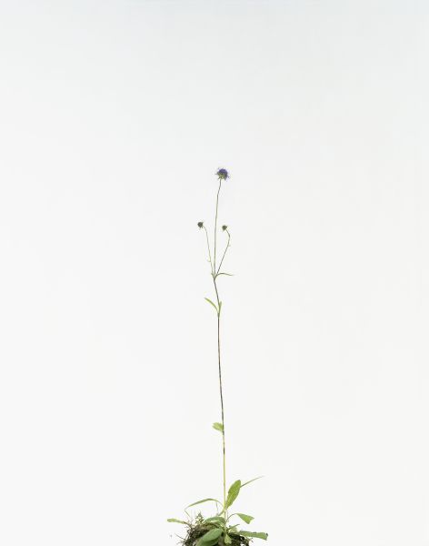 埃里克．普瓦特凡 -無題 Untitled