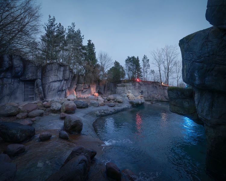 羅晟文-奧爾堡動物園，丹麥 / Aalborg Zoo, Denmark