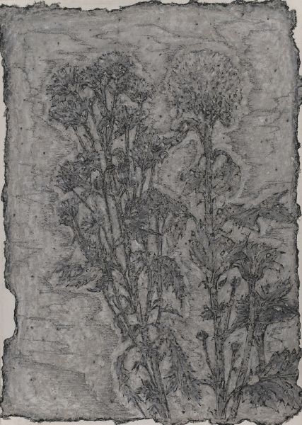 羅文欣-禮物-1